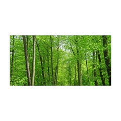 In The Forest The Fullness Of Spring, Green, Yoga Headband