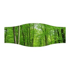 In The Forest The Fullness Of Spring, Green, Stretchable Headband