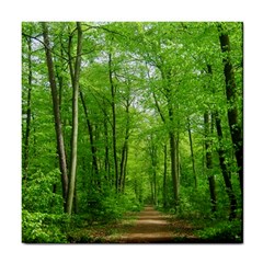 In The Forest The Fullness Of Spring, Green, Tile Coaster