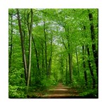 In the forest the fullness of spring, green, Tile Coaster Front