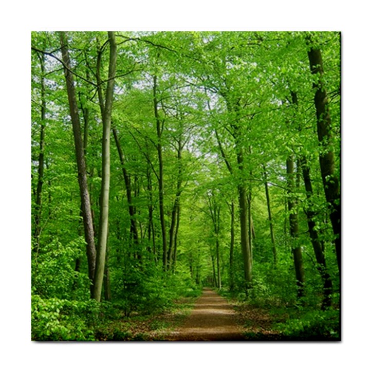 In the forest the fullness of spring, green, Tile Coaster