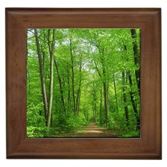 In The Forest The Fullness Of Spring, Green, Framed Tile by MartinsMysteriousPhotographerShop