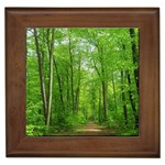 In the forest the fullness of spring, green, Framed Tile Front