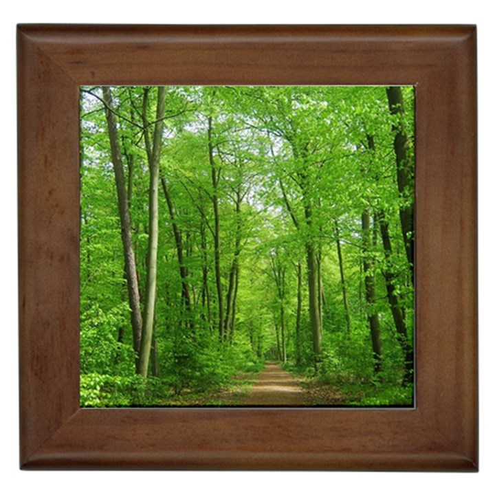 In the forest the fullness of spring, green, Framed Tile