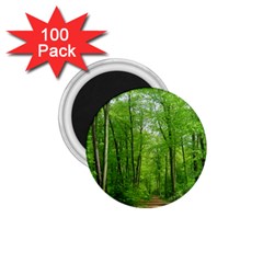 In The Forest The Fullness Of Spring, Green, 1 75  Magnets (100 Pack)  by MartinsMysteriousPhotographerShop