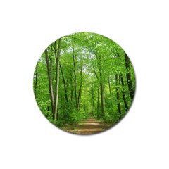 In The Forest The Fullness Of Spring, Green, Magnet 3  (round) by MartinsMysteriousPhotographerShop