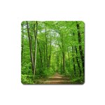 In the forest the fullness of spring, green, Square Magnet Front