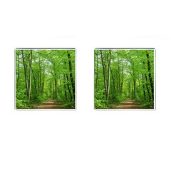 In The Forest The Fullness Of Spring, Green, Cufflinks (square) by MartinsMysteriousPhotographerShop