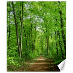 In The Forest The Fullness Of Spring, Green, Canvas 8  X 10  by MartinsMysteriousPhotographerShop