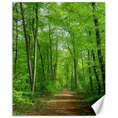 In The Forest The Fullness Of Spring, Green, Canvas 16  X 20  by MartinsMysteriousPhotographerShop