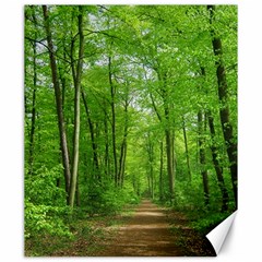 In The Forest The Fullness Of Spring, Green, Canvas 20  X 24  by MartinsMysteriousPhotographerShop