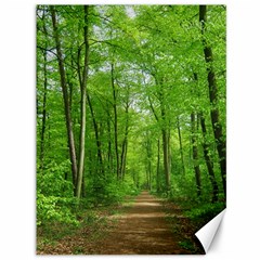 In The Forest The Fullness Of Spring, Green, Canvas 36  X 48  by MartinsMysteriousPhotographerShop