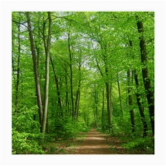 In The Forest The Fullness Of Spring, Green, Medium Glasses Cloth by MartinsMysteriousPhotographerShop