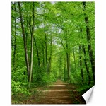 In the forest the fullness of spring, green, Canvas 11  x 14  10.95 x13.48  Canvas - 1