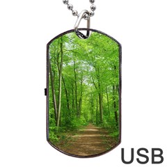 In The Forest The Fullness Of Spring, Green, Dog Tag Usb Flash (one Side) by MartinsMysteriousPhotographerShop