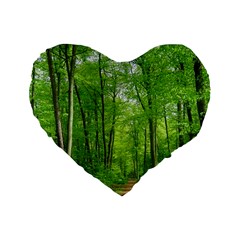 In The Forest The Fullness Of Spring, Green, Standard 16  Premium Heart Shape Cushions by MartinsMysteriousPhotographerShop