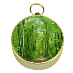 In The Forest The Fullness Of Spring, Green, Gold Compasses by MartinsMysteriousPhotographerShop