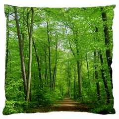 In The Forest The Fullness Of Spring, Green, Large Flano Cushion Case (one Side) by MartinsMysteriousPhotographerShop