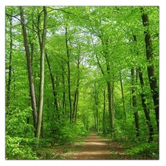 In The Forest The Fullness Of Spring, Green, Large Satin Scarf (square) by MartinsMysteriousPhotographerShop