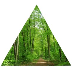 In The Forest The Fullness Of Spring, Green, Wooden Puzzle Triangle by MartinsMysteriousPhotographerShop