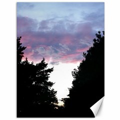 Colorful Overcast, Pink,violet,gray,black Canvas 36  X 48  by MartinsMysteriousPhotographerShop