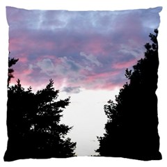 Colorful Overcast, Pink,violet,gray,black Large Cushion Case (two Sides) by MartinsMysteriousPhotographerShop