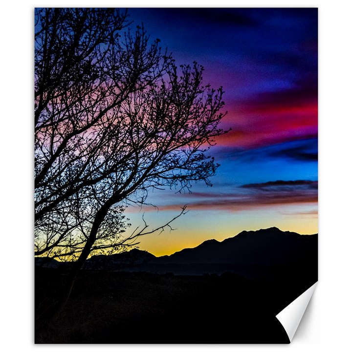 Sunset Landscape Scene, San Juan Province, Argentina003 Canvas 8  x 10 