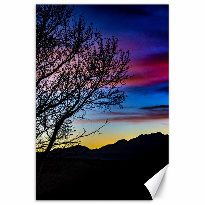 Sunset Landscape Scene, San Juan Province, Argentina003 Canvas 20  x 30 