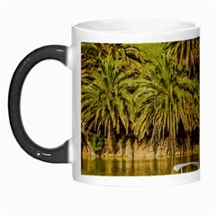 Parque Rodo Park, Montevideo, Uruguay Morph Mugs by dflcprintsclothing