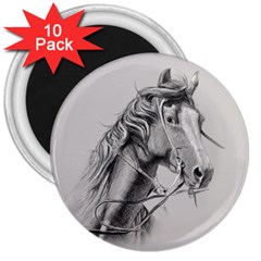 Custom Horse 3  Magnets (10 Pack)  by HermanTelo