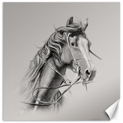 Custom Horse Canvas 16  X 16 