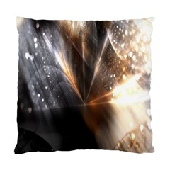 Flash Light Standard Cushion Case (one Side) by Sparkle