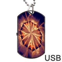 Sun Fractal Dog Tag Usb Flash (one Side) by Sparkle