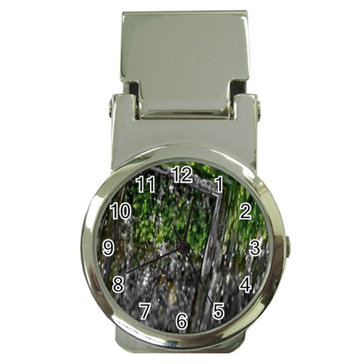 Green Glitter Squre Money Clip Watches