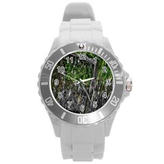 Green Glitter Squre Round Plastic Sport Watch (l) by Sparkle