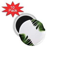 Banana Leaves 1 75  Magnets (10 Pack)  by goljakoff