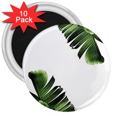 Banana Leaves 3  Magnets (10 Pack)  by goljakoff