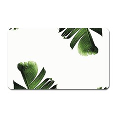 Banana Leaves Magnet (rectangular) by goljakoff