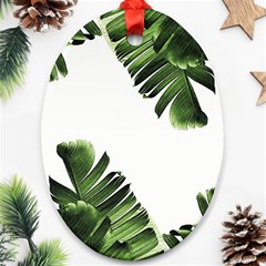 Banana Leaves Oval Ornament (two Sides) by goljakoff