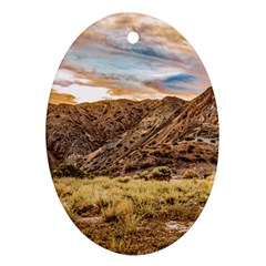 El Leoncito National Park Landscape, San Juan Province, Argentina Ornament (oval) by dflcprintsclothing