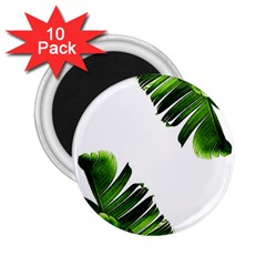 Green Banana Leaves 2 25  Magnets (10 Pack)  by goljakoff