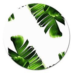 Green Banana Leaves Magnet 5  (round) by goljakoff