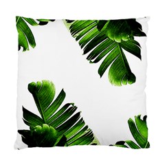 Green Banana Leaves Standard Cushion Case (one Side) by goljakoff