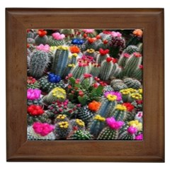 Cactus Framed Tile by Sparkle