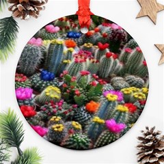 Cactus Ornament (round) by Sparkle