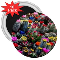 Cactus 3  Magnets (10 Pack)  by Sparkle