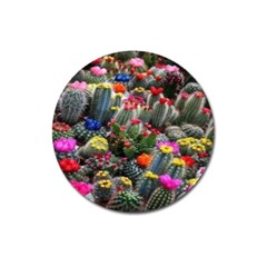 Cactus Magnet 3  (round) by Sparkle