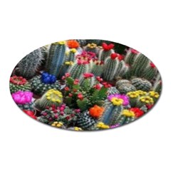 Cactus Oval Magnet by Sparkle