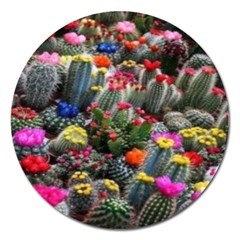 Cactus Magnet 5  (round) by Sparkle