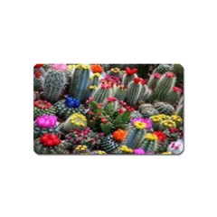 Cactus Magnet (name Card) by Sparkle